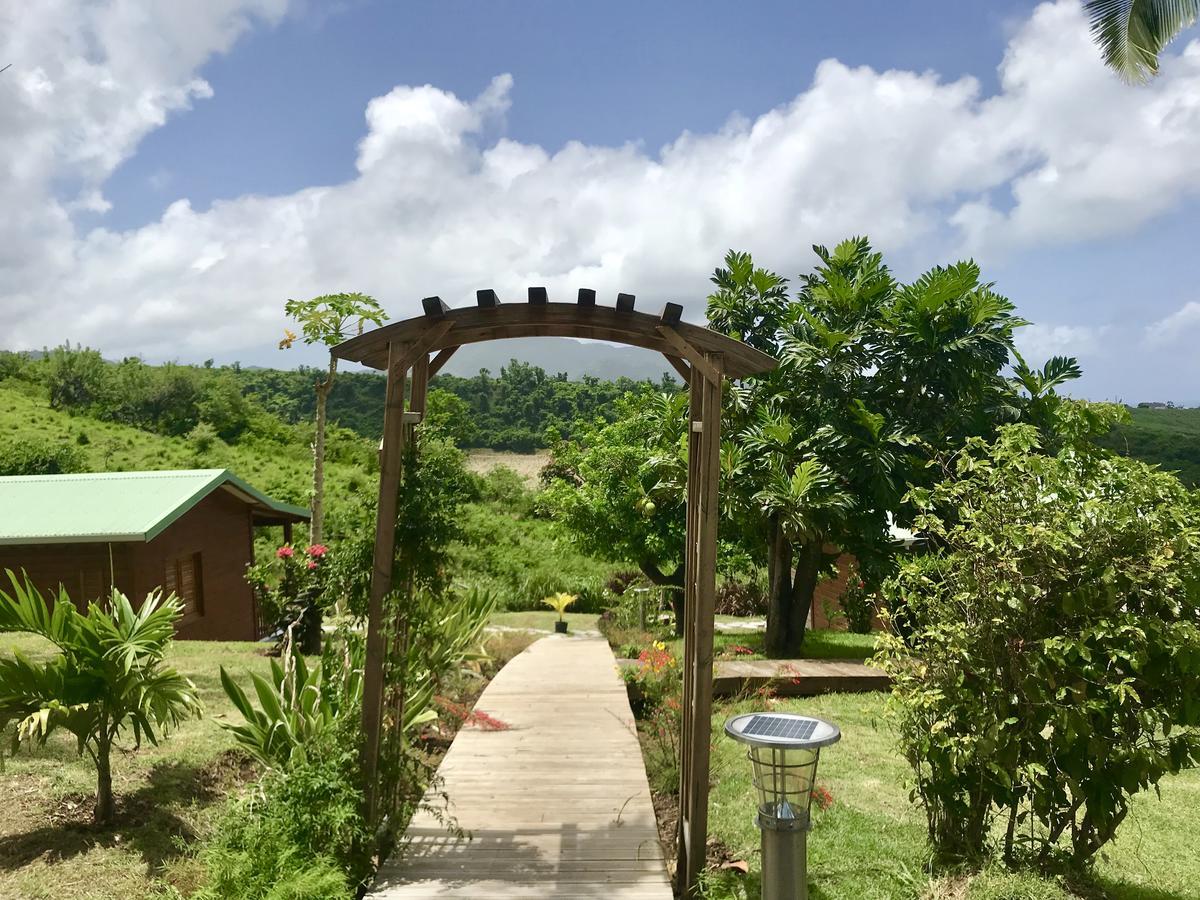 Residence Paradis Tropical Basse-Terre Exterior foto